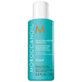 Scalp Balancing Shampoo for Dry, Itchy, and Oily Scalps