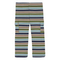 Print Cargo Pants in Fall Vibes Stripe