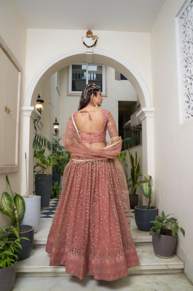 Rust Butterfly Net Lehenga Choli With Cotton Thread & Sequence Work