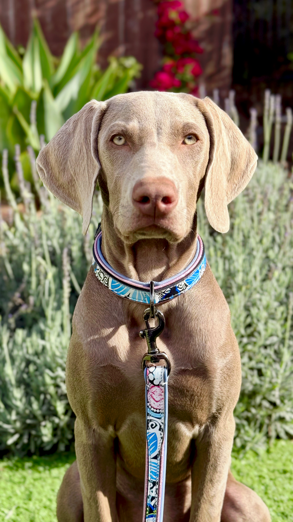 The Blossom Leather Dog Collar