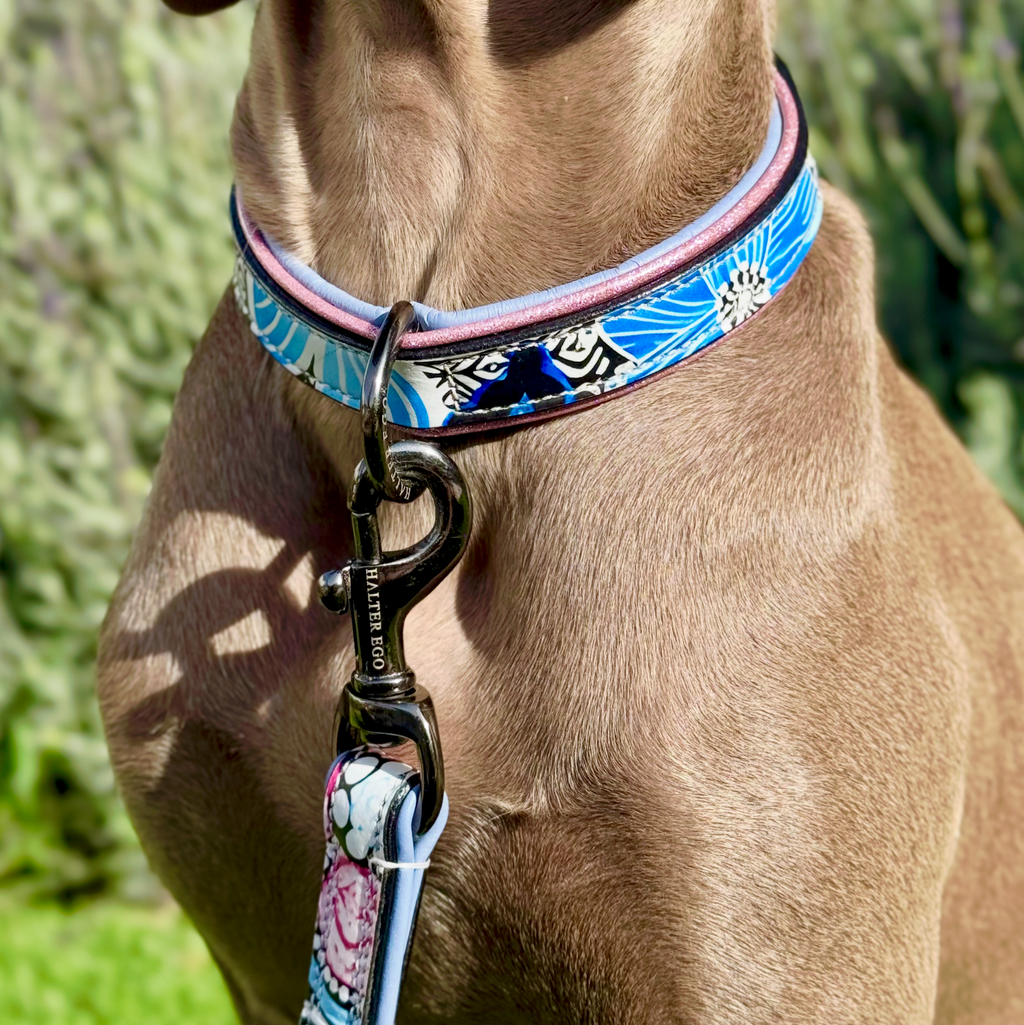 The Blossom Leather Dog Collar