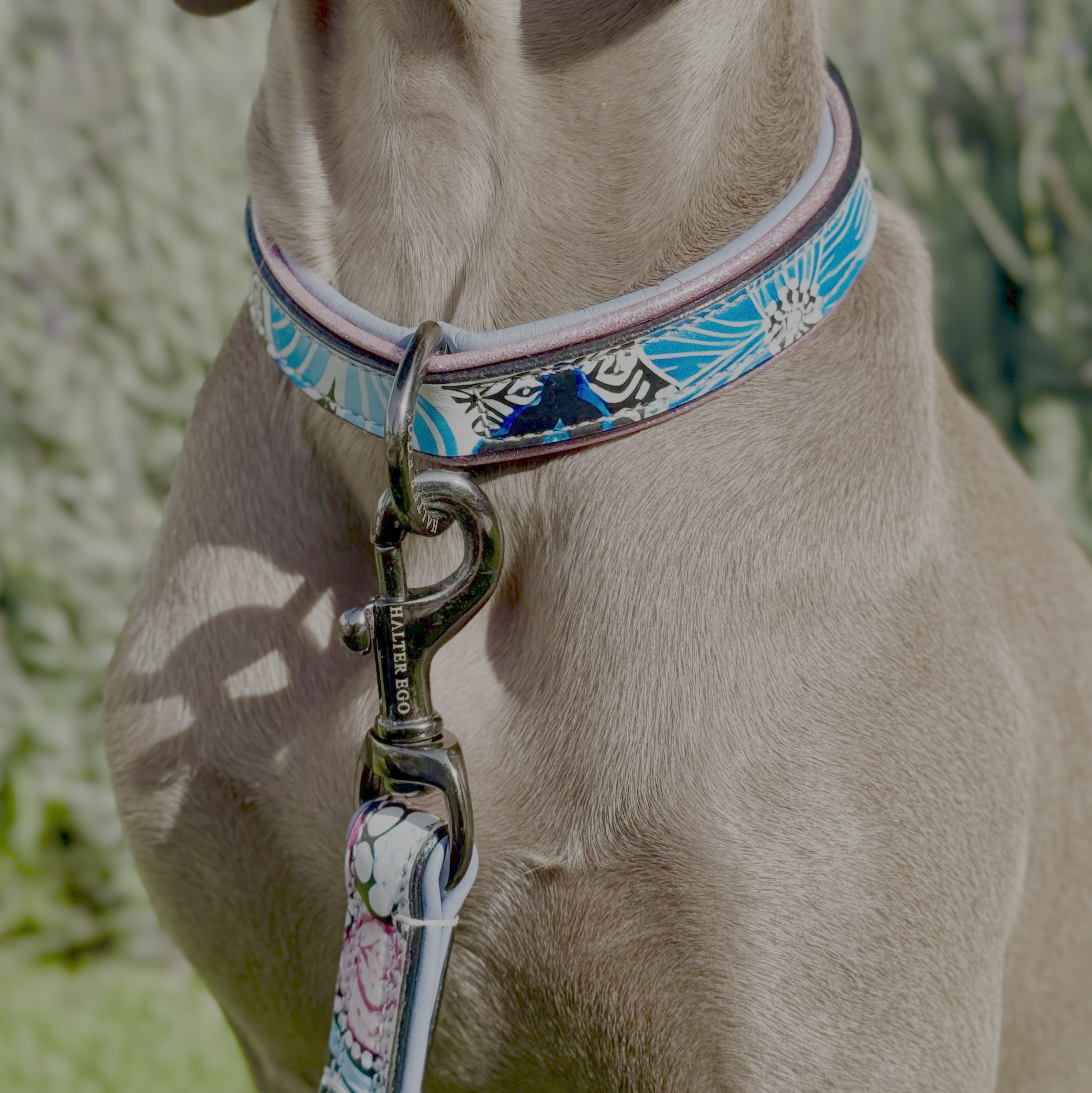 The Blossom Leather Dog Collar