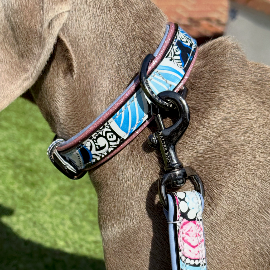 The Blossom Leather Dog Collar