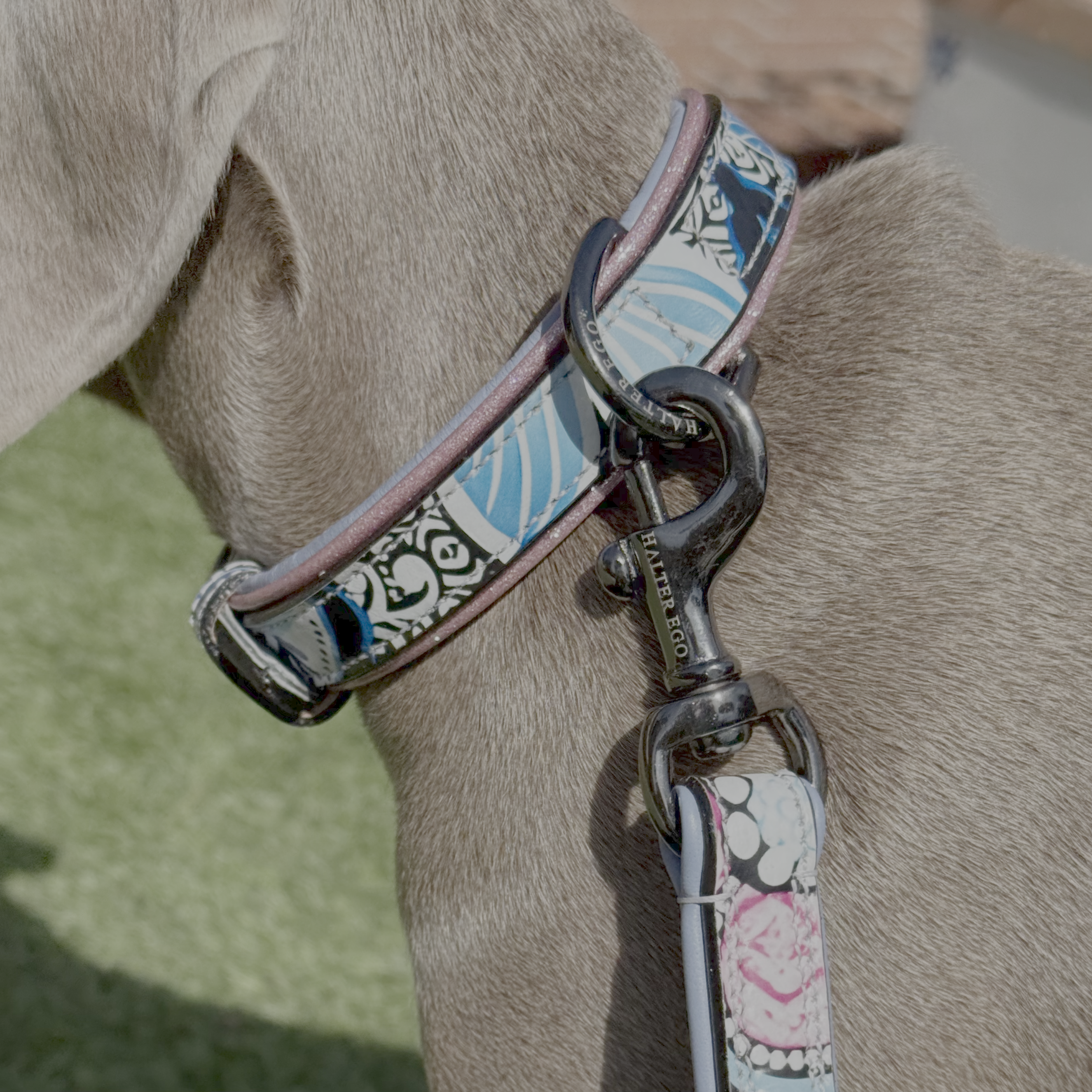 The Blossom Leather Dog Collar