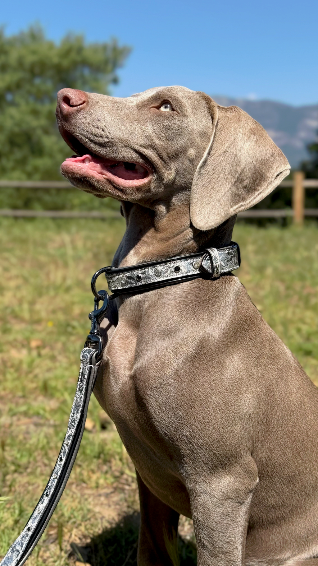 Venetian Leather Dog Leash