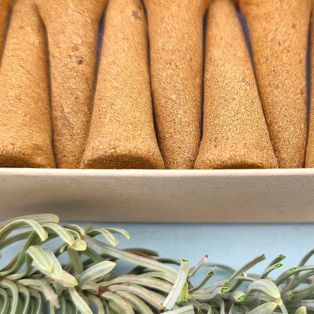 Incense Cone Variety Pack