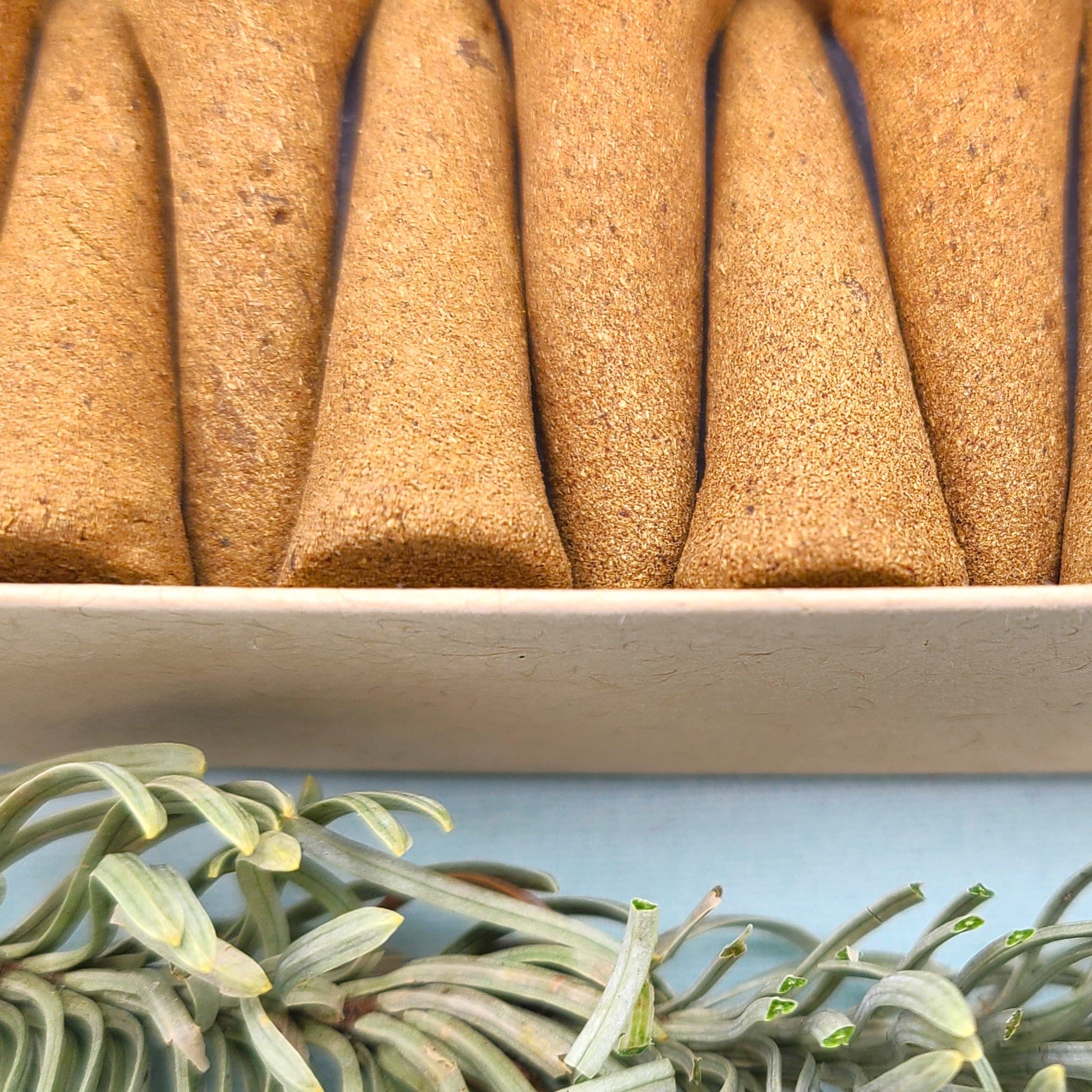Incense Cone Variety Pack