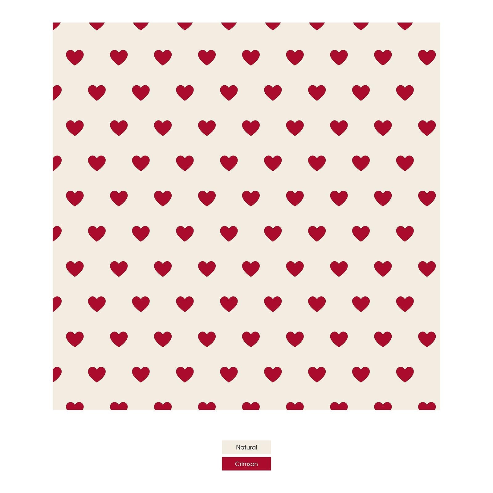 Women's Print Classic Brief in Natural Hearts