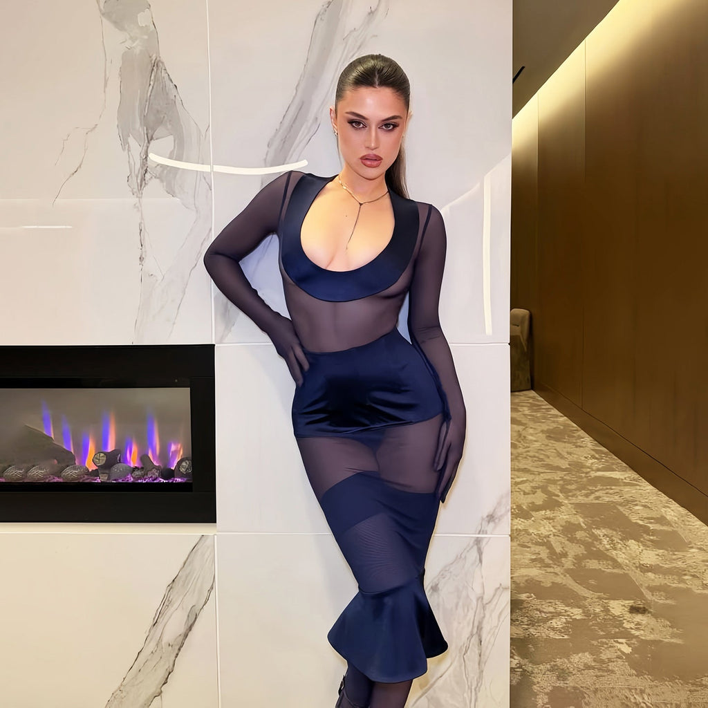 Summer Arrival Low Collar Long Sleeves Slim Fit Sexy See through Mesh Cinched Sheath Dress