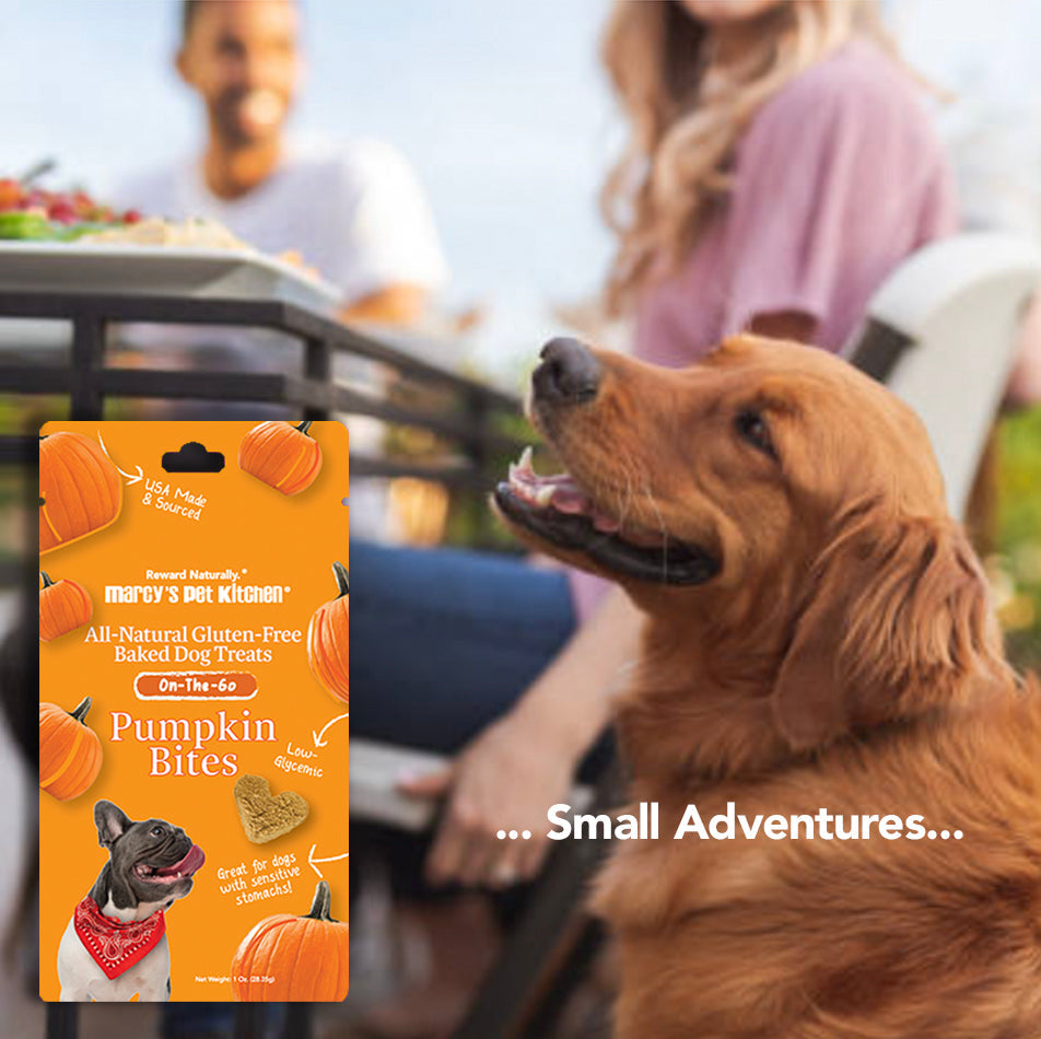 Marcy's Pet Kitchen Vegan Pumpkin Dog Treats
