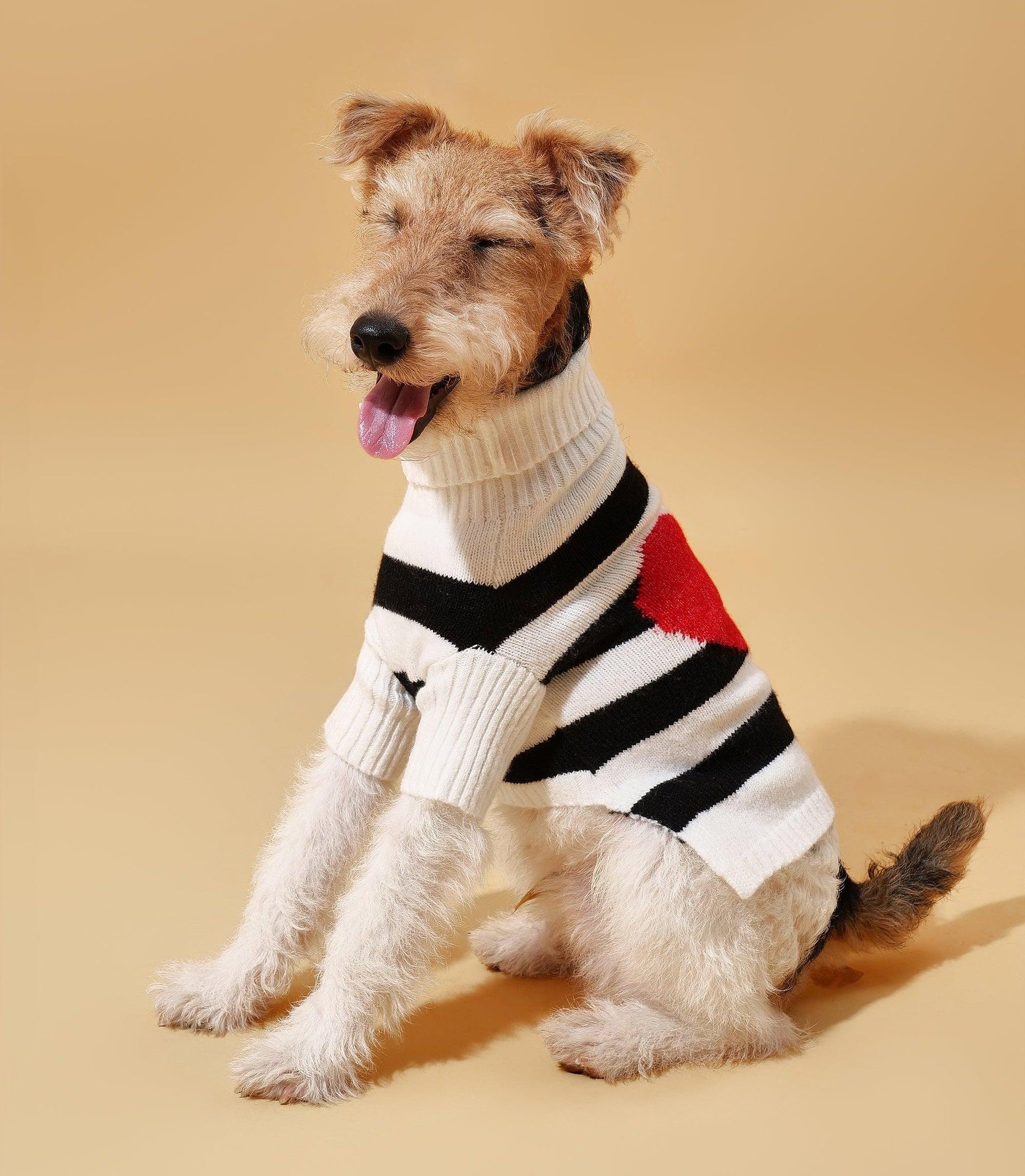 Sailor of My Heart Striped Turtleneck Sweater