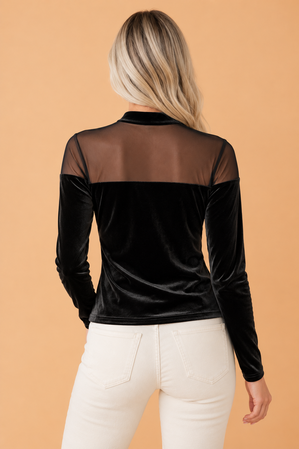 Velvet Sheer Mesh Patchwork Long Sleeve Top