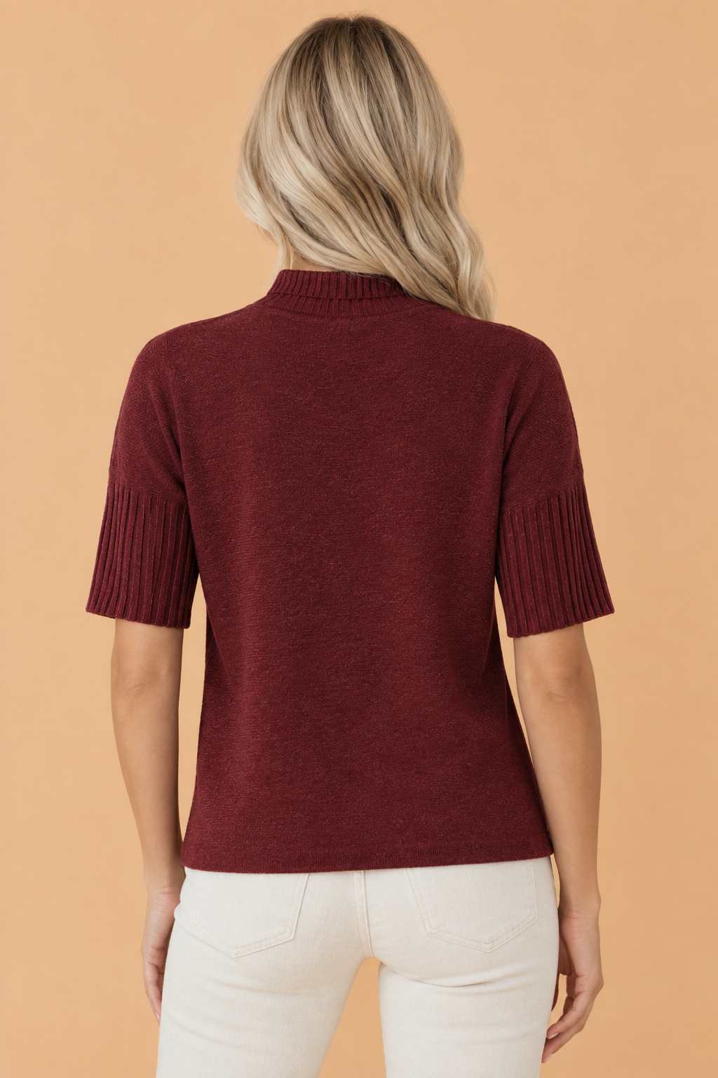 Solid Ribbed Trim Turtleneck Short Sleeve Sweater