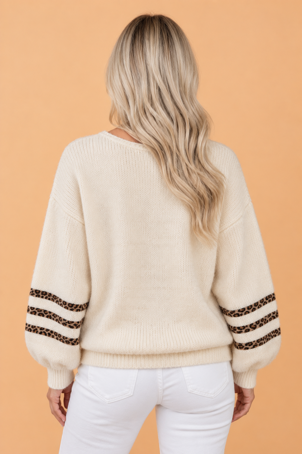 Leopard Stripe Trim V-Neck Long Sleeve Sweater