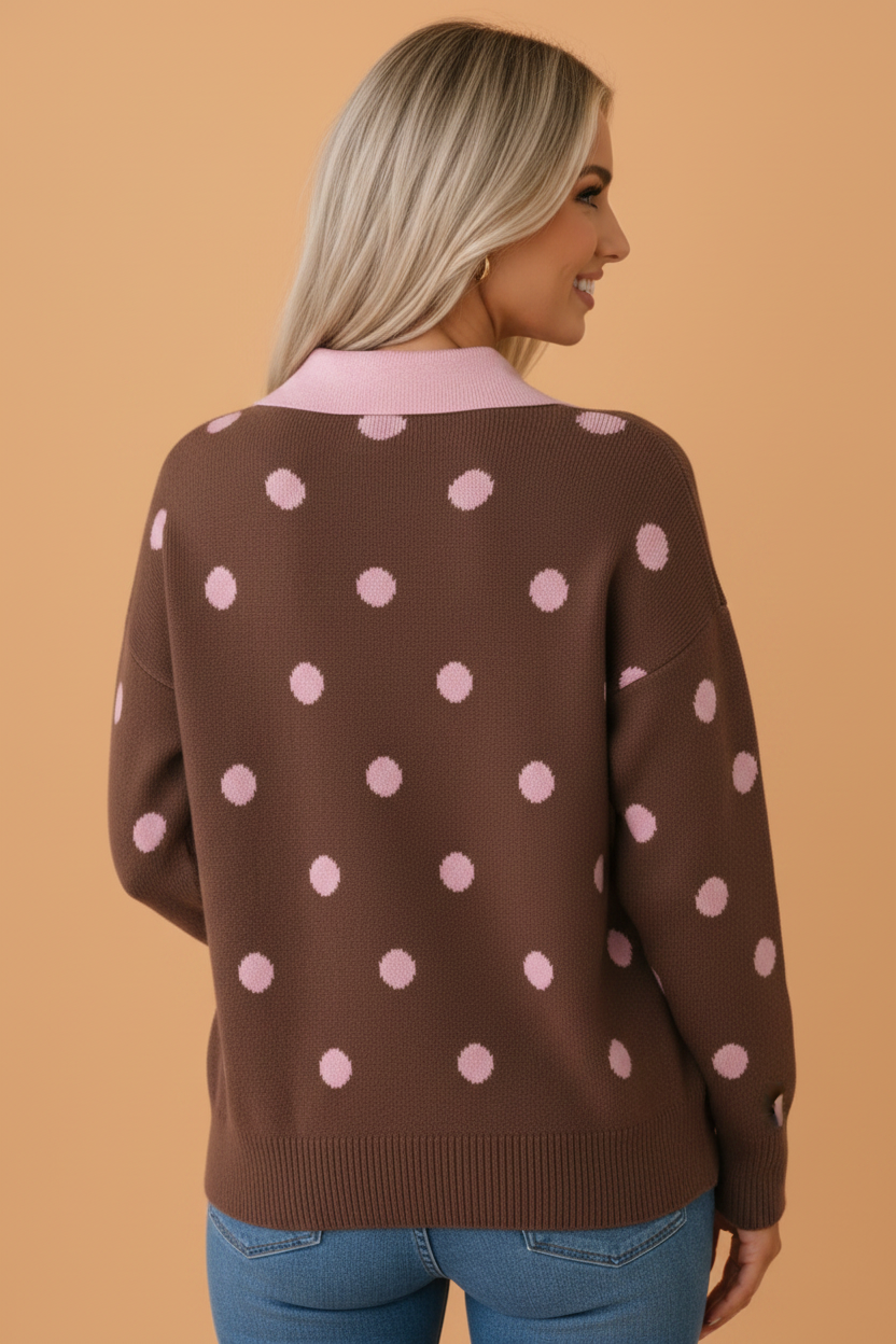 Polka Dot Colorblock Collared V-Neck Sweater
