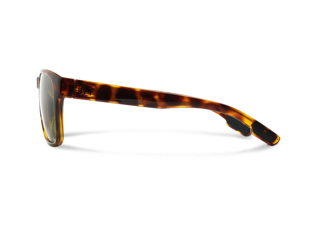 Pebble | Tortoise | Green G22