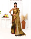 Gold dual tone organic tissue saree with luminous shimmer