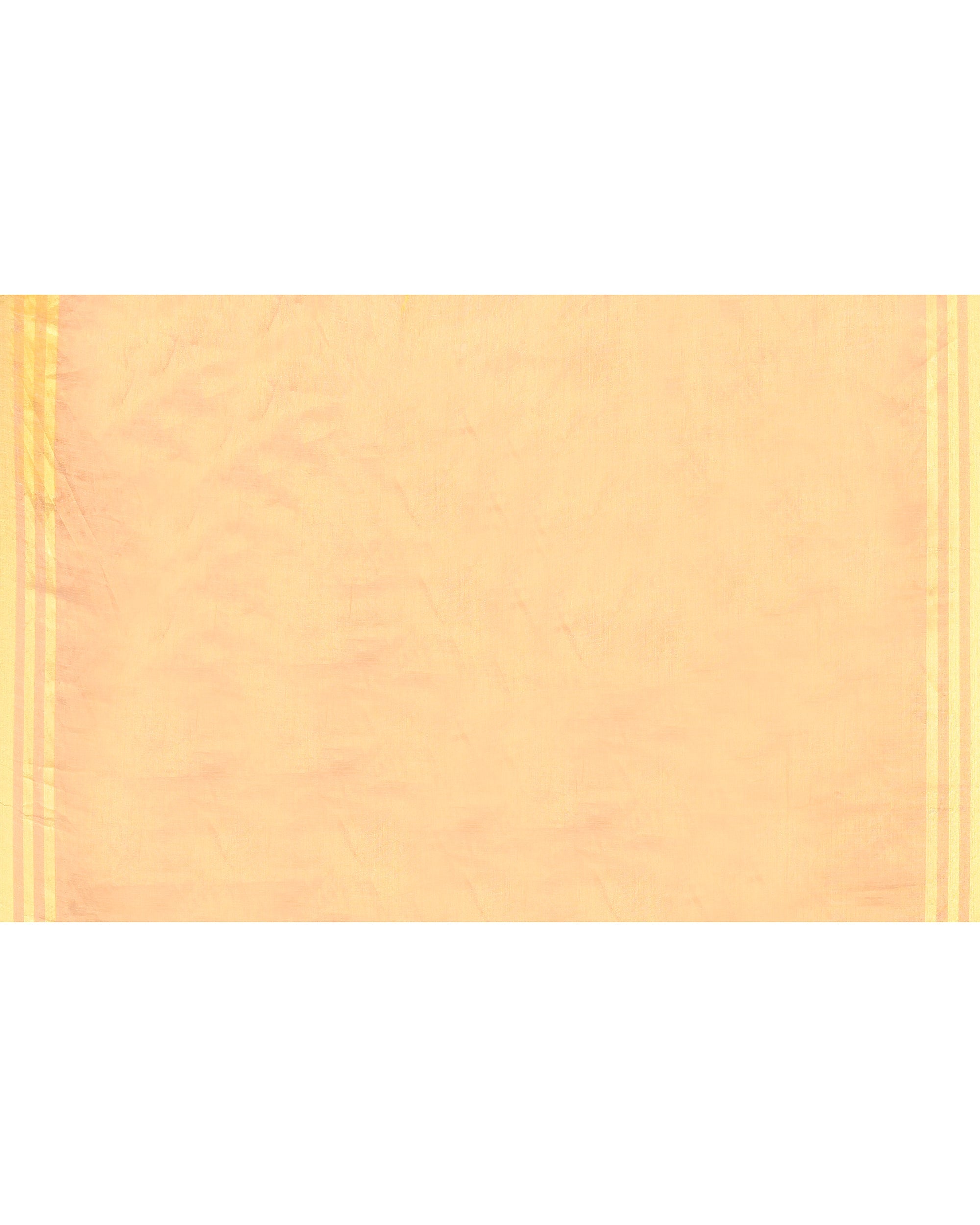 Beige Zari Cotton Handloom Tissue Saree with Red Borders