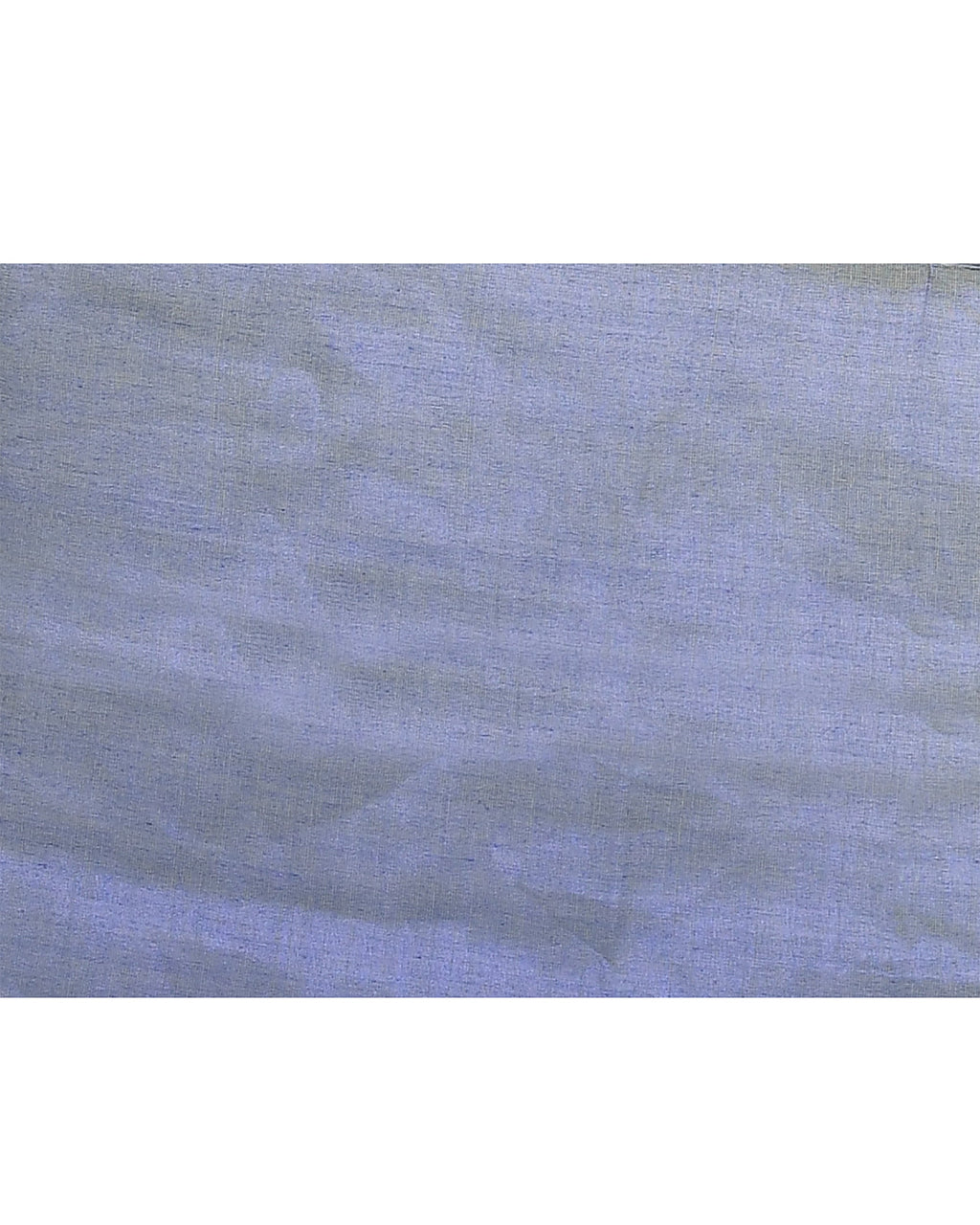 Blue Zari Cotton Tissue Sequin Saree with Vibrant Borders