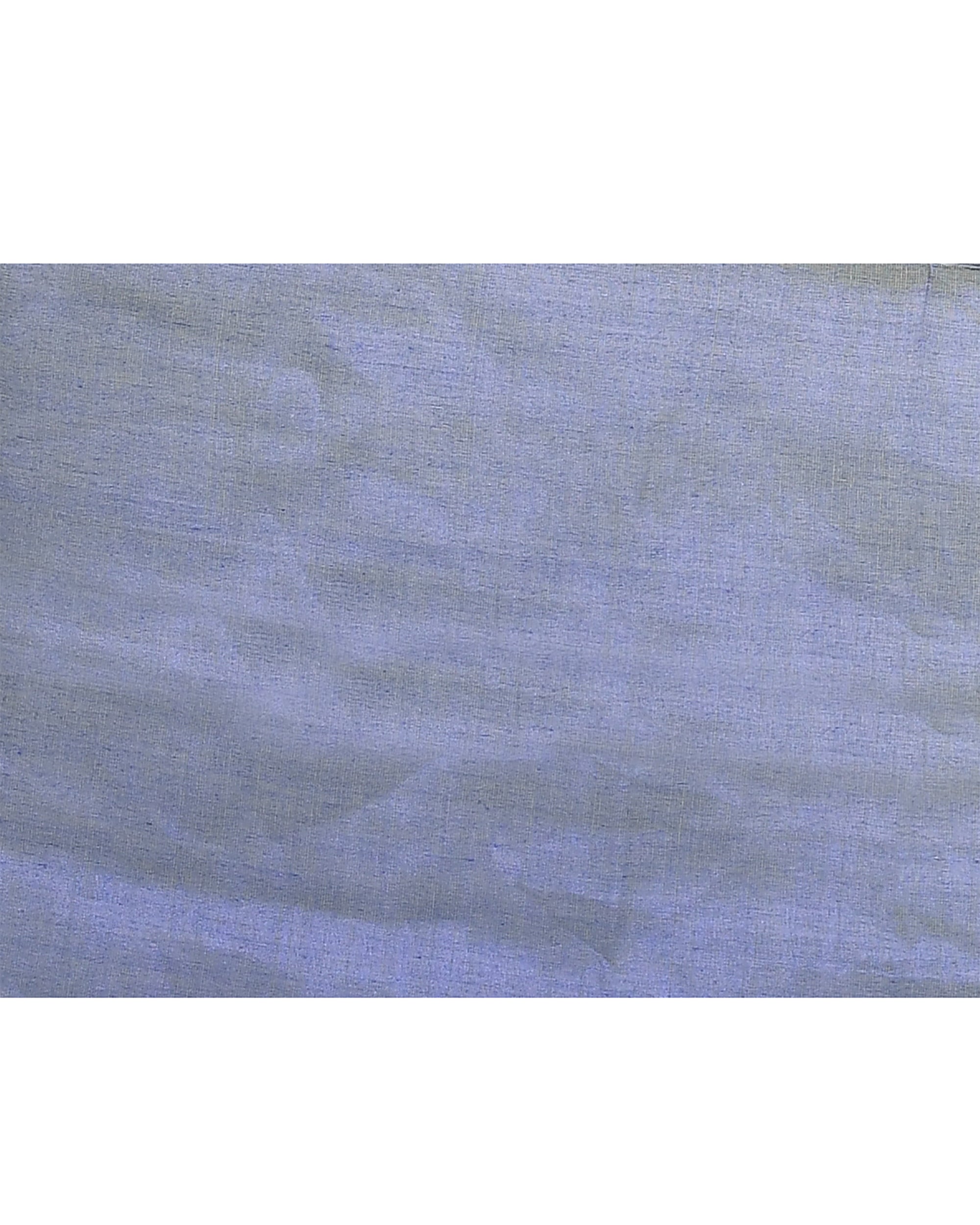 Blue Zari Cotton Tissue Sequin Saree with Vibrant Borders