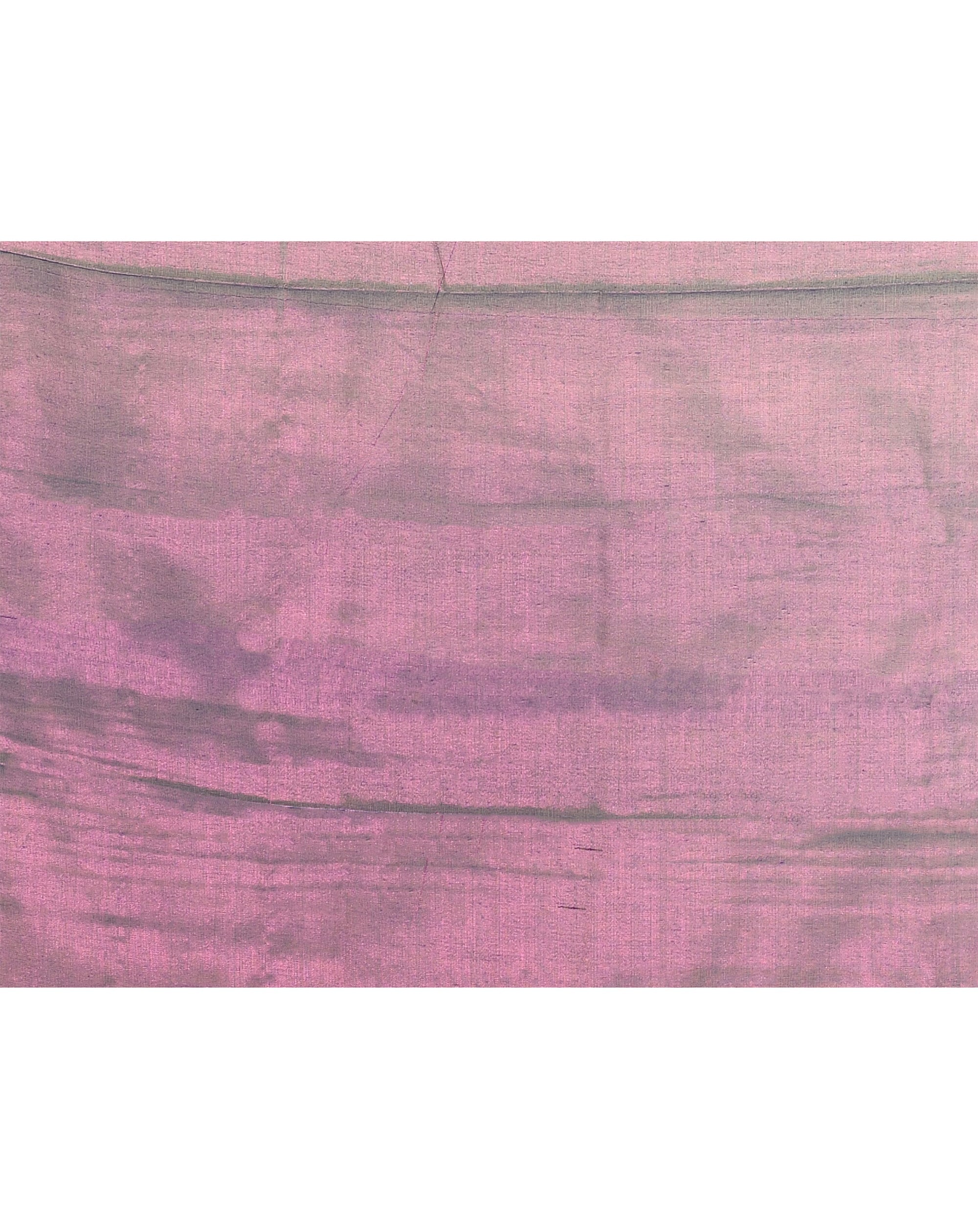 Violet Zari Cotton Tissue Sequin Saree with Vibrant Borders