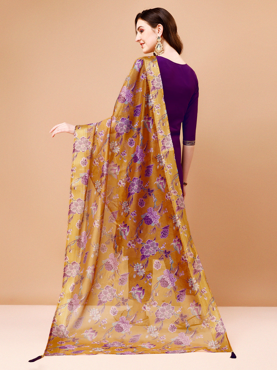 Embroidered Kurta Set with Printed Organza Dupatta, Multicolor
