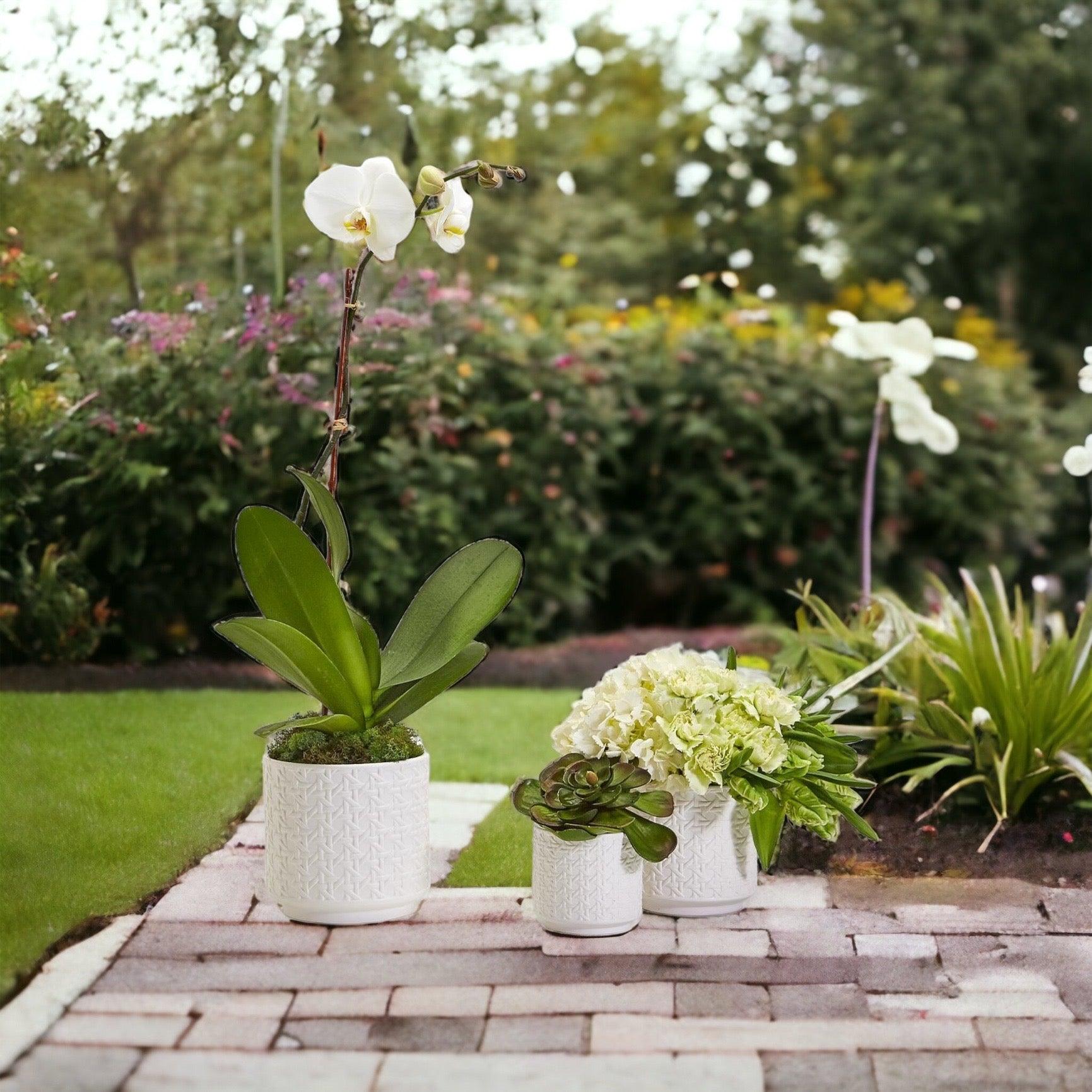 White Textured Webbing Ceramic Planters Set of Three - Image 8
