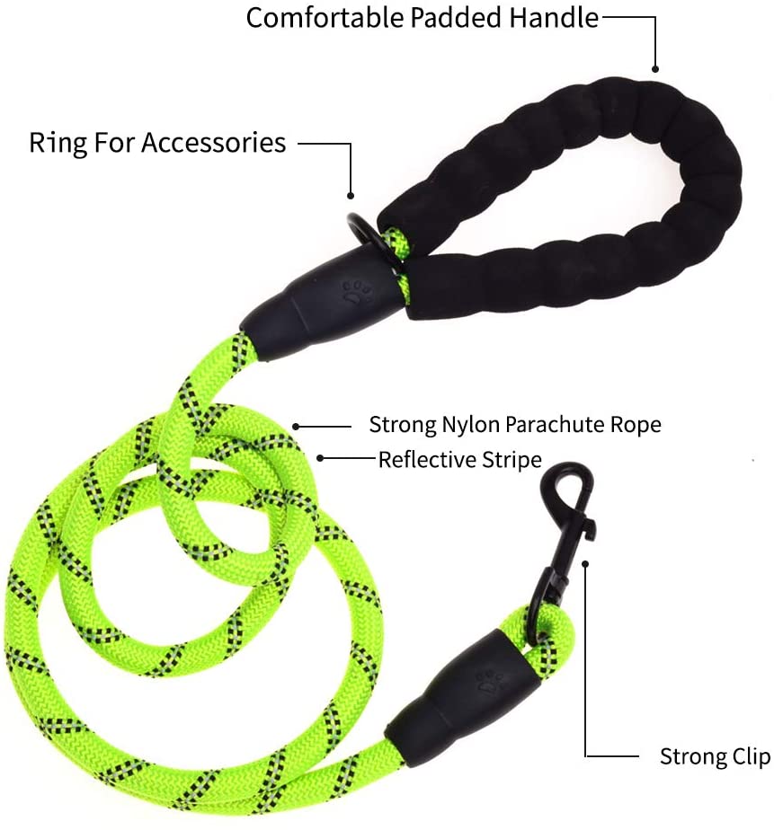 6 FT Dog Leash for Large and Medium Dogs-Green Set of 5