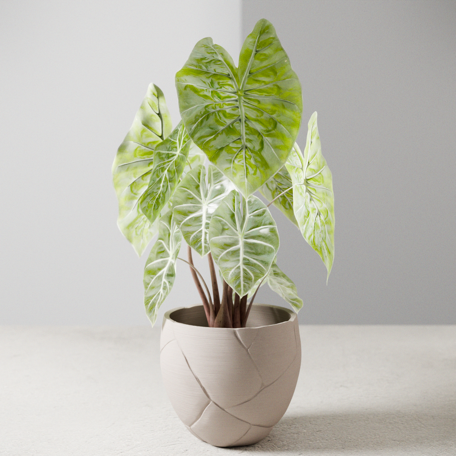 QUAKE Planter