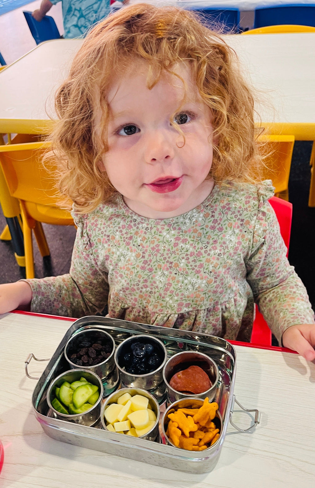 Stainless Steel Bento Box - 6 Compartment Kids