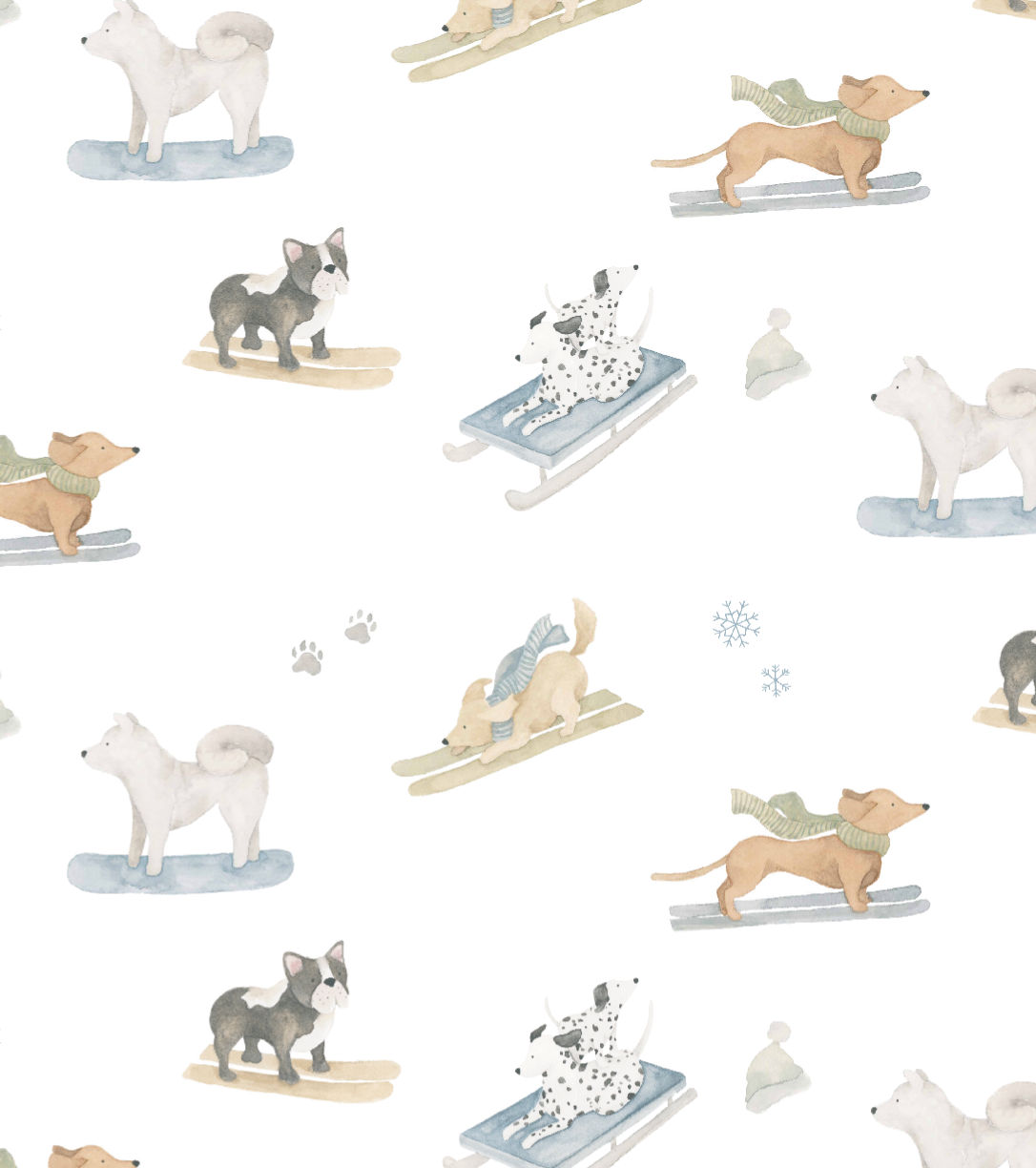 Ski Pups Boy Pima Hooded Towel