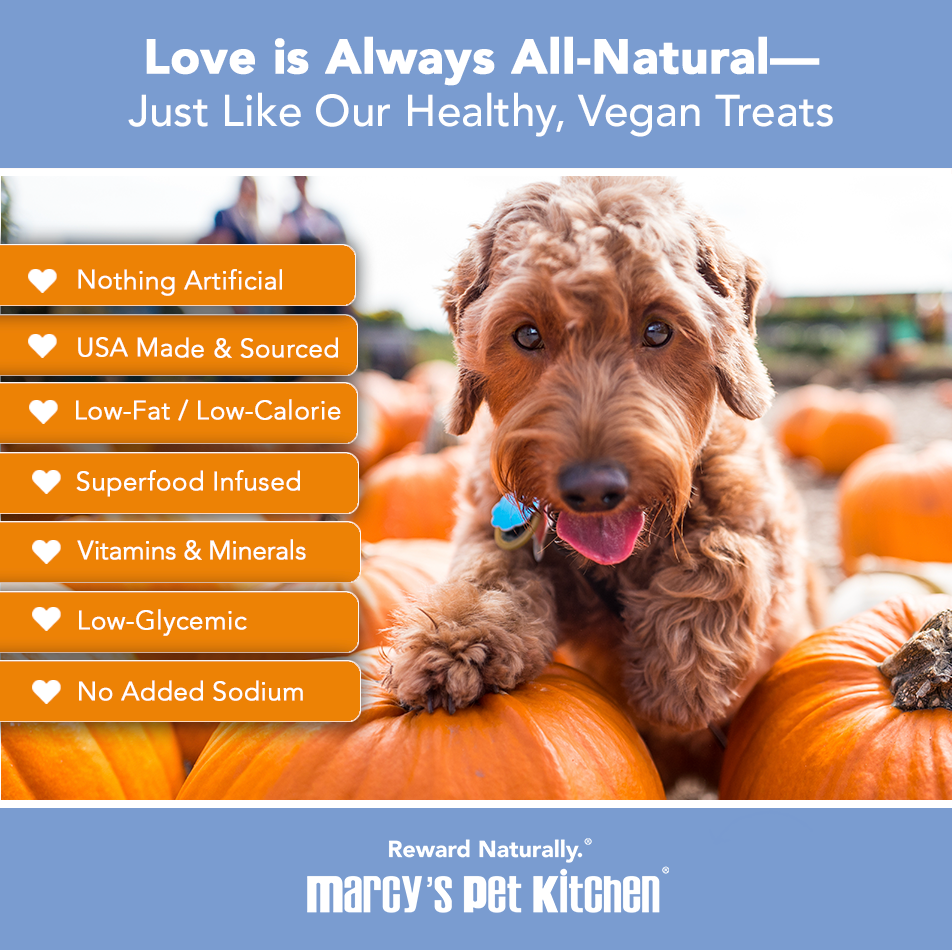 Marcy's Pet Kitchen Vegan Pumpkin Dog Treats