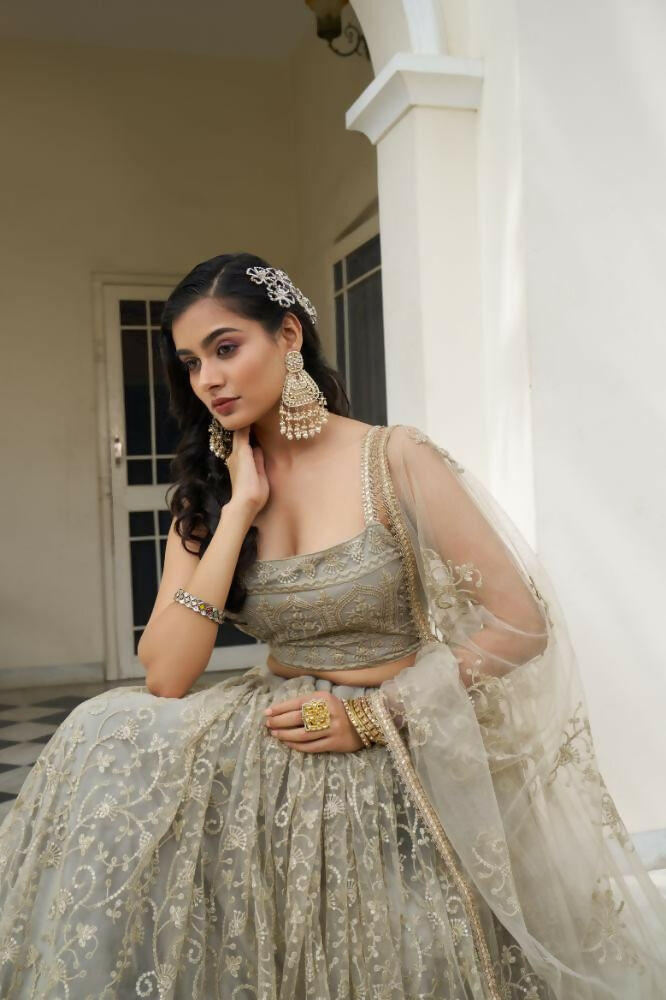 Ivory Butterfly Net Lehenga Choli with Tone-to-Tone Embroidery