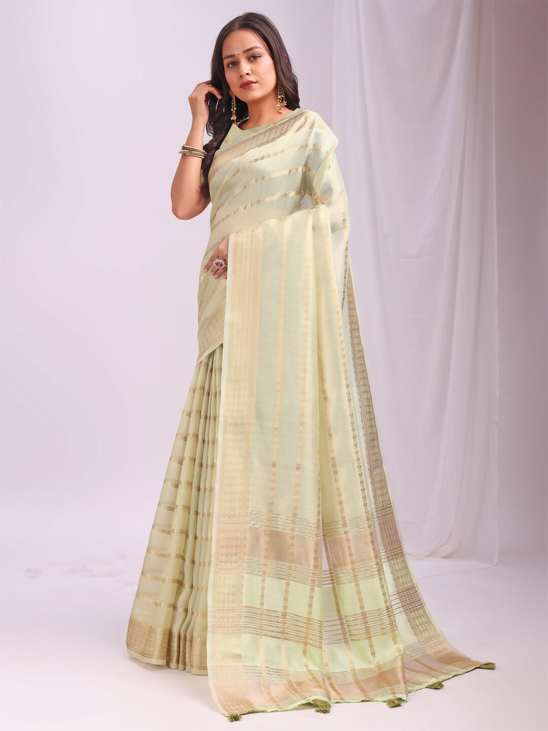 Shree Shyam Fashion Organza Light Green Saree