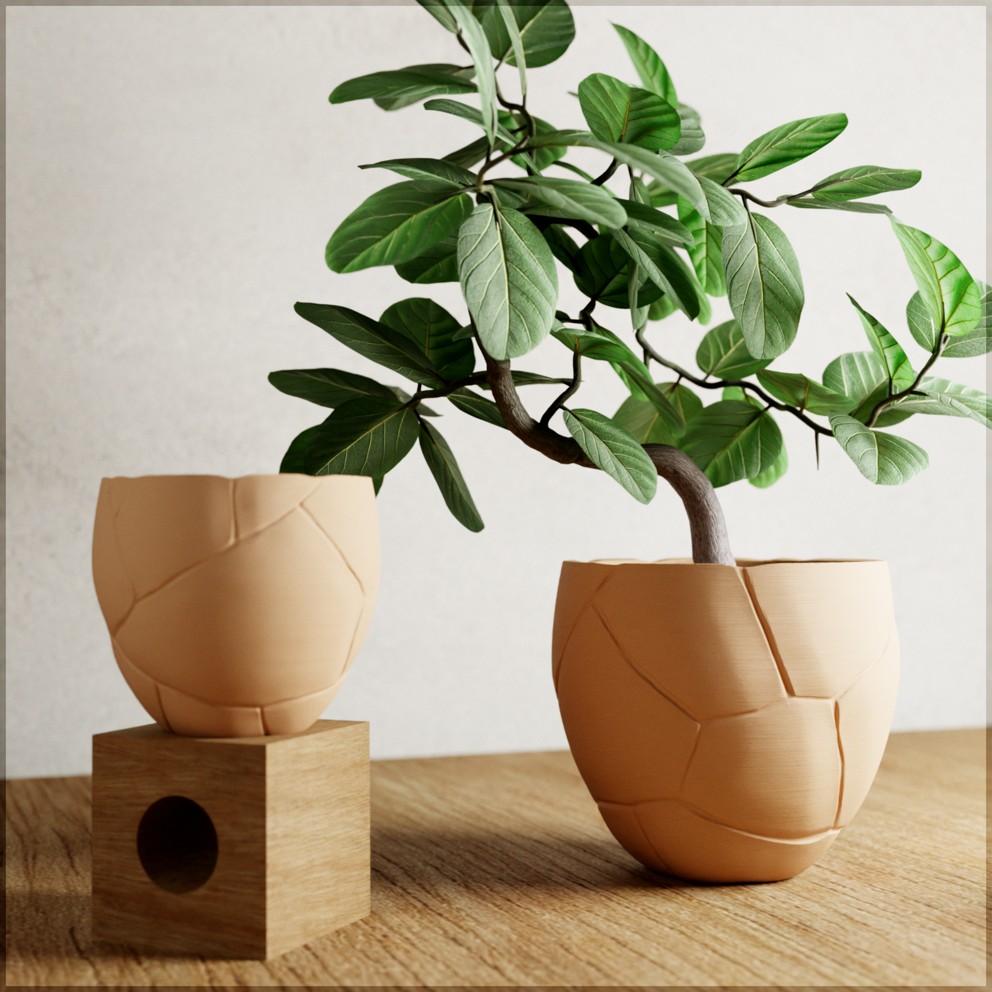 QUAKE Planter