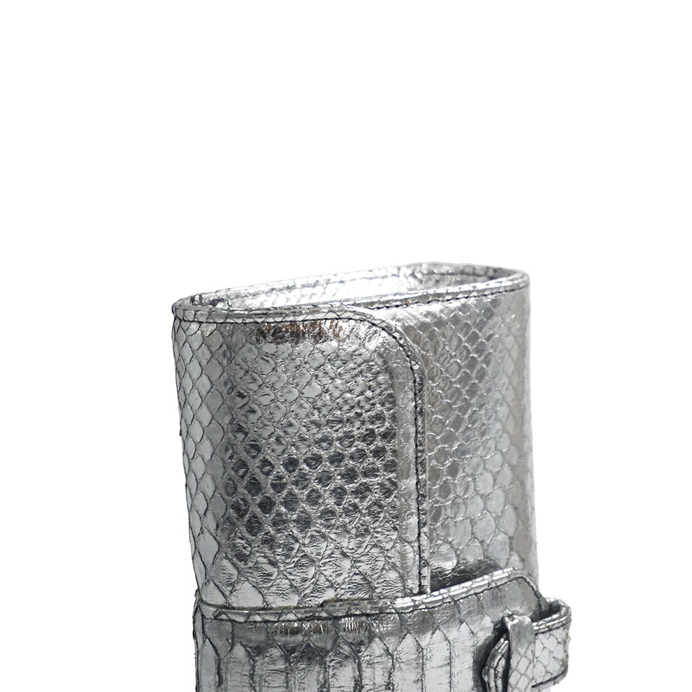 Rita Small in Metallic Silver