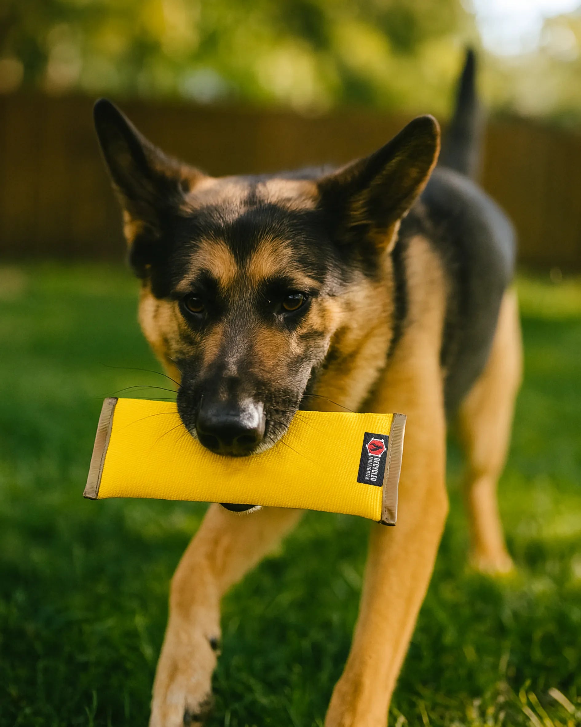 XL Recycled Fire Hose Dog Fetch Toy in Safety Yellow and Brown