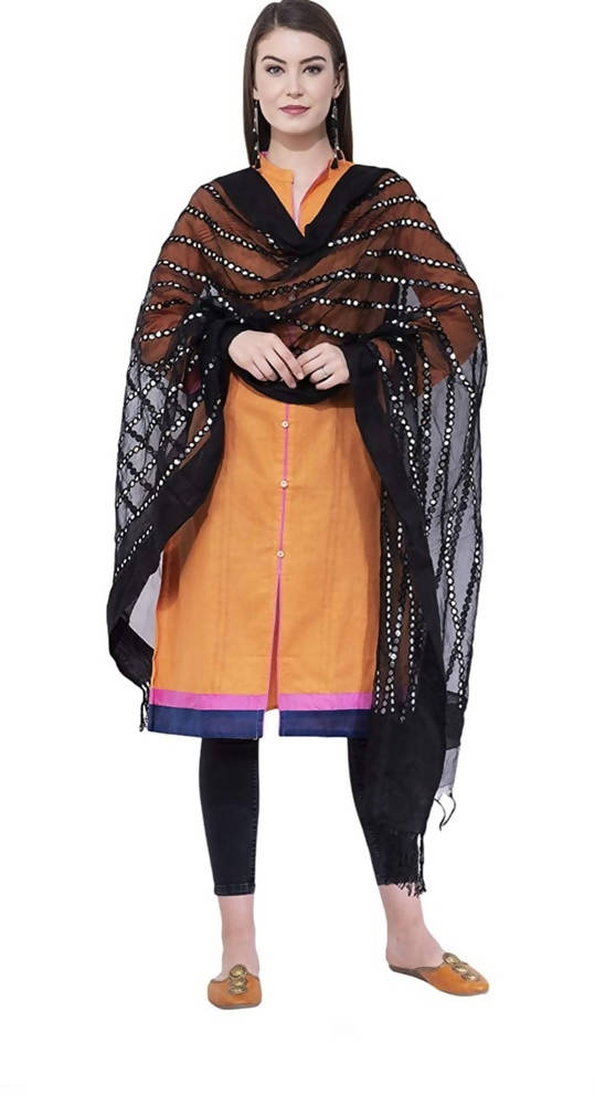Black Organza Mirror Stripe Dupatta with Metallic Detail