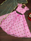 Beautiful pink organza silk kids lehenga choli with detailed embroidery.