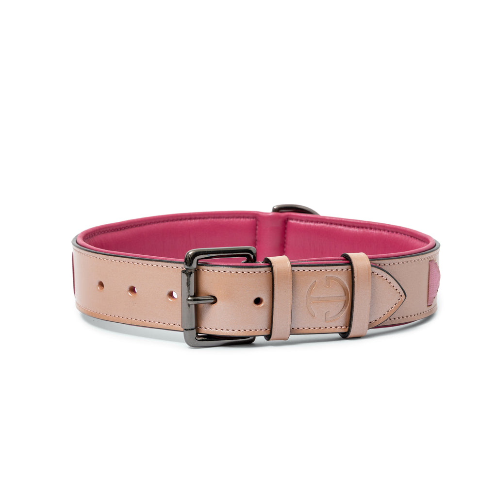 Rosé Lumière Leather Dog Collar