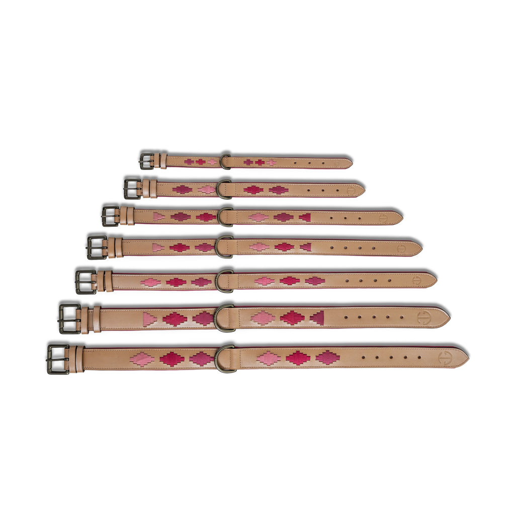 Rosé Lumière Leather Dog Collar
