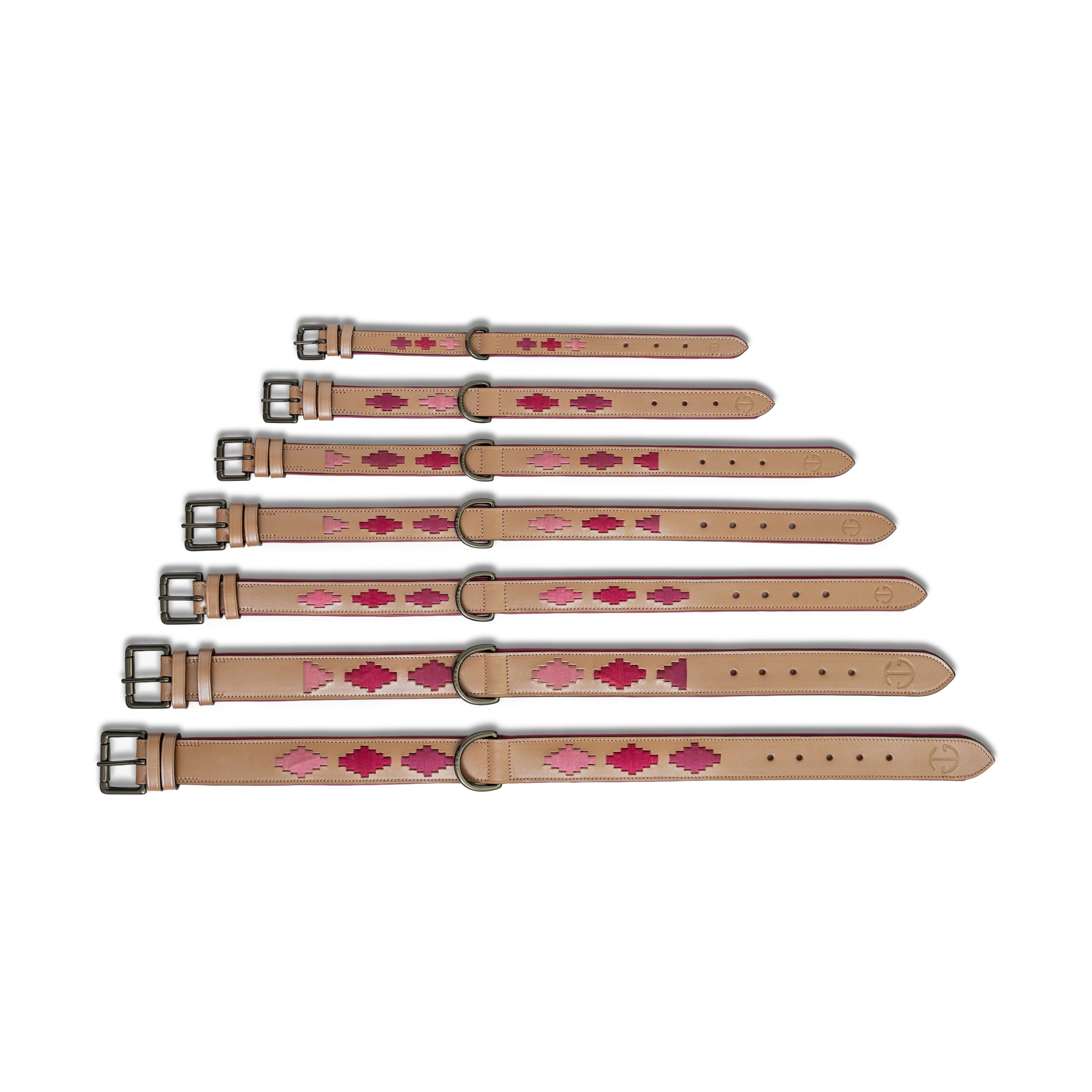Rosé Lumière Leather Dog Collar