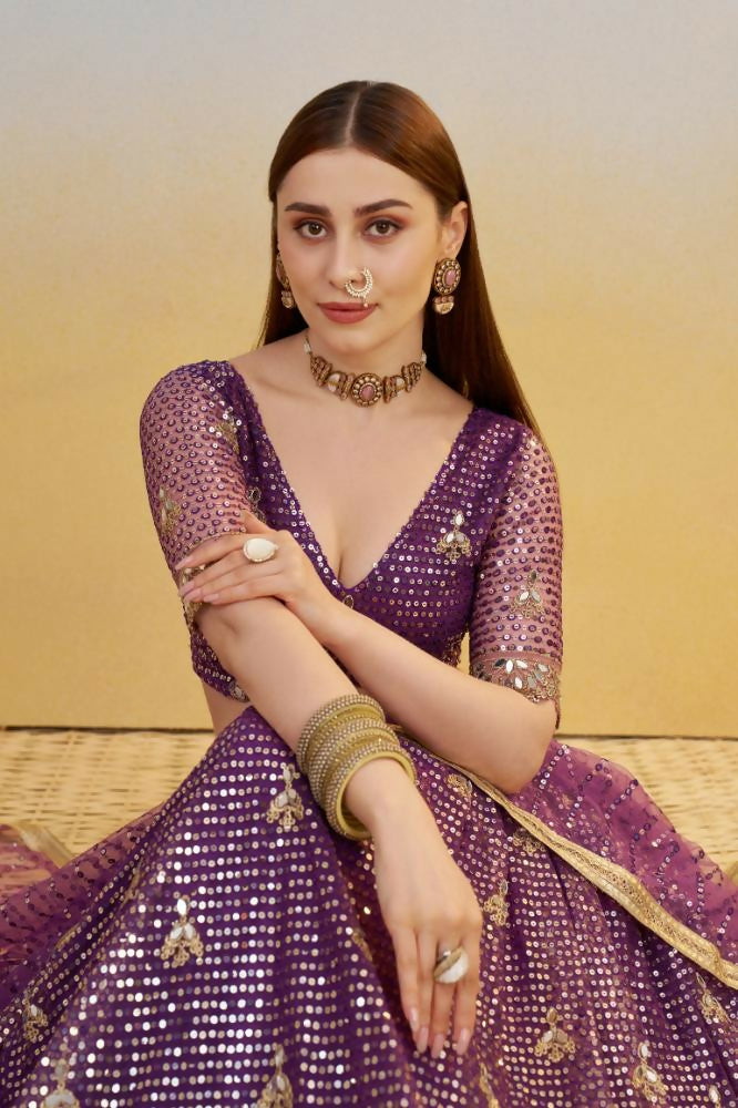 Dark Purple Butterfly Net Lehenga with Mirror & Sequence Embroidery