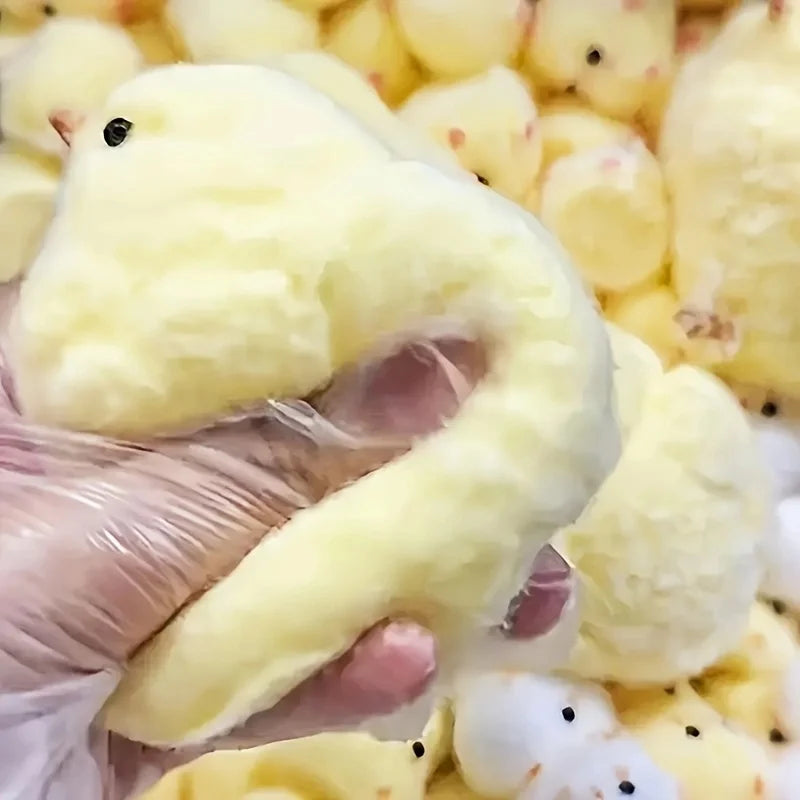 Yellow Chick Squishy Stress Relief Fidget Toy for Kids and Adults - Image 3
