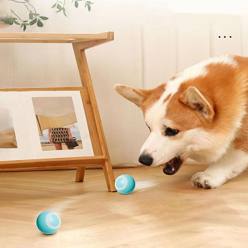 Smart Automatic Rolling Cat Toy Ball – USB Rechargeable