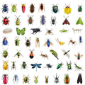 50/100PCS Transparent PET Animal Stationery Stickers Cartoon Creative Insect Pattern DIY Notebook Reward Stickers