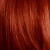 Cellophanes Ammonia-Free Hair Color Gloss Treatment 10.1oz