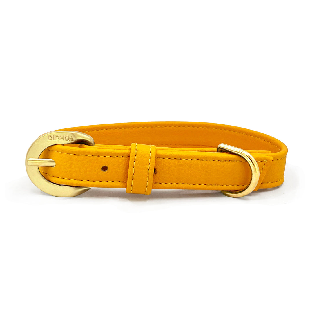Yellow Cactus Leather Pet Collar Limited Edition
