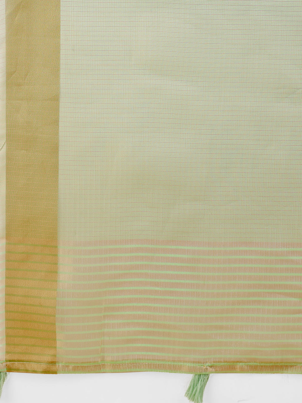 Light Green Organza Saree with Golden Zari Border