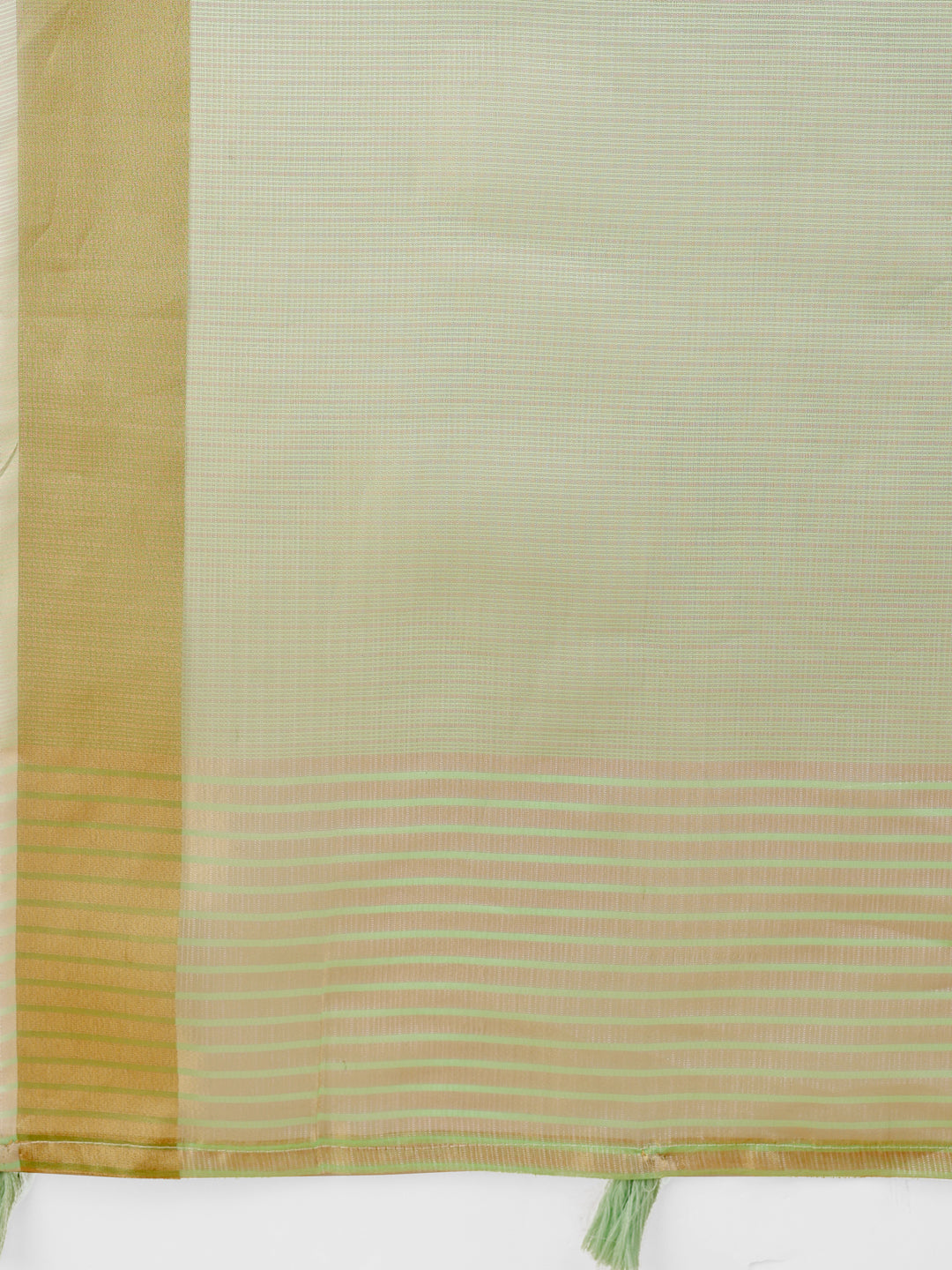 Light Green Organza Saree with Golden Zari Border